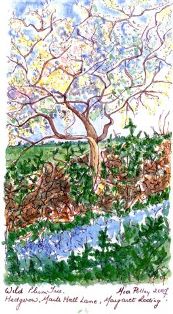 painting7
